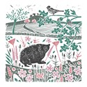 RSPB Natures Print Card - Hedgehog & Bird
