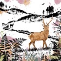 RSPB Field & Forest Card - Stag