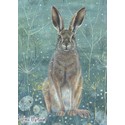 Mini Notecard Pack (5 Cards) - Enchanted Hare