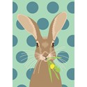 Mini Notecard Pack (5 Cards) - Hare On Spots