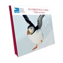 RSPB Small Square Christmas Card Pack - Snow Fun