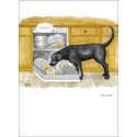 Alison's Animals Card Collection - Prewash (125x172mm)