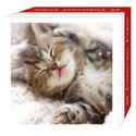 Assorted Christmas Cards - Christmas Cats