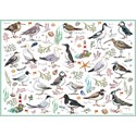 500 Piece Jigsaw - Madeleine Floyd Seabirds