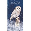Christmas Card (Single) - Money Wallet - Owl