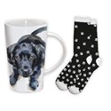 Christmas Gift Box - Black Labrador Puppy Dog Eyes
