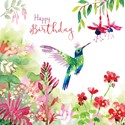 Wild & Serene Card Collection - Humming Bird