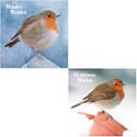 Luxury Christmas Card Pack - Winter Perch