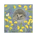Enchanted Wildlife Card - Hedgehog In Primroses
