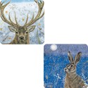 Luxury Christmas Card Pack - Snowy Stag