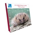 RSPB Small Square Christmas Card Pack - Little Hedgehog