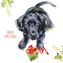 Charity Christmas Card Pack - Puppy Dog Wishes