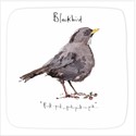 Madeleine Floyd - The Dawn Chorus Card - Blackbird