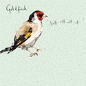 Madeleine Floyd - The Dawn Chorus Card - Goldfinch