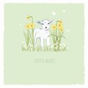 Easter 5 Card Pack - Spring Lambs & Daises