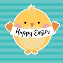 Easter 5 Card Pack - Yellow Chick