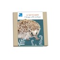 RSPB - In The Wild Stationery - Square Notecard Pack (10 Card Pack) - Wildlife
