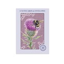 RSPB - In The Wild Stationery - Small Notecards (6 Card Pack) - Thistle & Bee