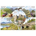 Snowdonia National Park - 1000 Piece Jigsaw Puzzle