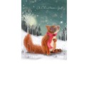 Christmas Card (Single) - Money Wallet - Wishing Squirrel