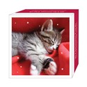 Assorted Christmas Cards - Cosy Kittens