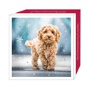 Assorted Christmas Cards - Christmas Pups
