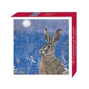 Assorted Christmas Cards - Moonlight Hare