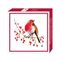 Assorted Christmas Cards - Berry Robin
