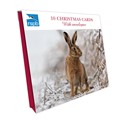 Winter Hare - RSPB Small Square Christmas 10 Card Pack