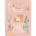 Beautiful Moments Card Collection - Cat & Plants