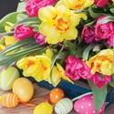 Easter 5 Card Pack - Daffodils & Tulips