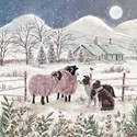 [Pre-Order] Charity Christmas Card Pack - Collie & Friends
