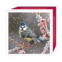 Assorted Christmas Cards - Birds in the Snow