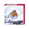 Assorted Christmas Cards - Robins in Snowfall