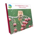 Mouse & Berries - RSPB Small Square Christmas 10 Card Pack
