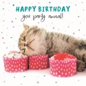 Pet Pawtrait Card - Party Animal - (Birthday Card)