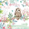 Wild & Serene Card Collection - Little Owl