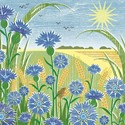 Quayside Gallery Card Collection - Cornflowers