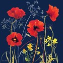 Quayside Gallery Card Collection - Watercolour Poppies
