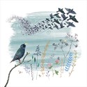 RSPB Beyond The Hedgerow Card Collection - Starling Murmuration