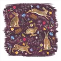 RSPB Beyond The Hedgerow Card Collection - Hares in the Meadow