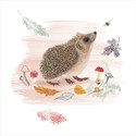 RSPB Beyond The Hedgerow Card Collection - Peering Hedgehog