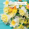Easter 5 Card Pack - Photographic Daffodils