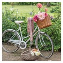 The Garden Studio Card - Bicycle Flowers