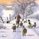 [Pre-Order] Charity Christmas Card Pack - Off Home