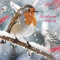 [Pre-Order] Charity Christmas Card Pack - Christmas Visitor