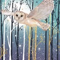 [Pre-Order] Charity Christmas Card Pack - Forest Flight