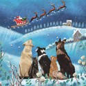 [Pre-Order] Charity Christmas Card Pack - Santa's Journey