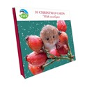 [Pre-Order] Harvest Mouse - RSPB Small Square Christmas 10 Card Pack