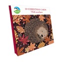 [Pre-Order] Sleeping Hedgehog - RSPB Small Square Christmas 10 Card Pack